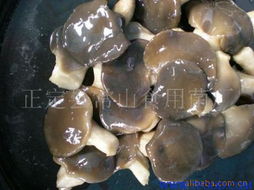 鹽漬食用菌